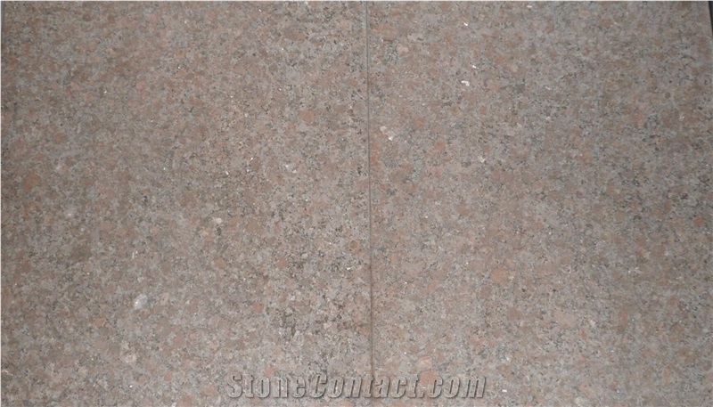 Gialla Veneziano Granite,Gold Veneziano in China Market,Tile and Slab for Wall Covering and Floor Use,Direct Factory Own Quarry with Ce Certificate