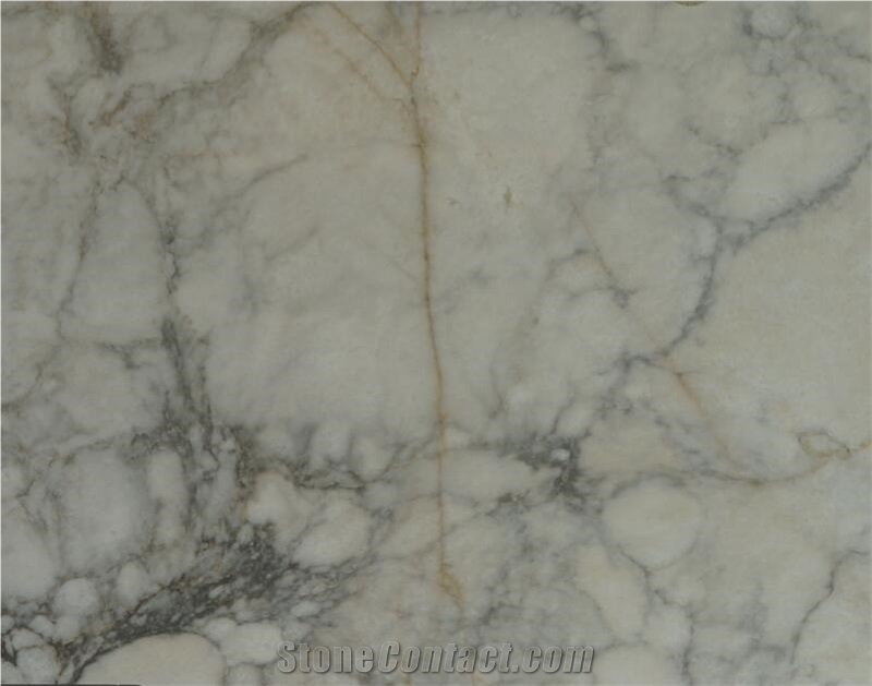 Parnon Light Marble Parnonas Semi White Slab Tile Floor Use