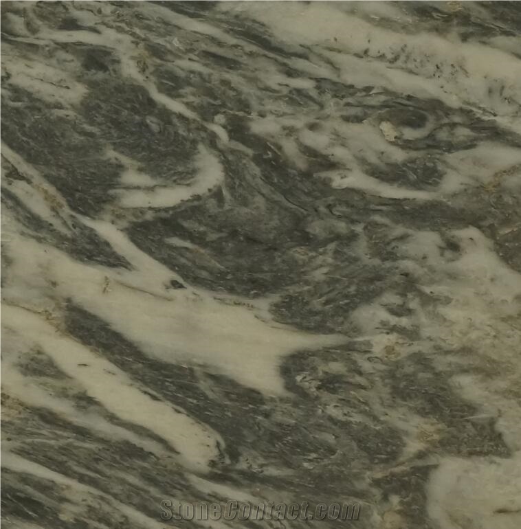 Phoenix，Arabescato Di Carrara,Bianco White Marble in China,Tile and Slab,Wall Cladding,A Grade Natural Stone,Own Factory and Quarry Owner with Ce
