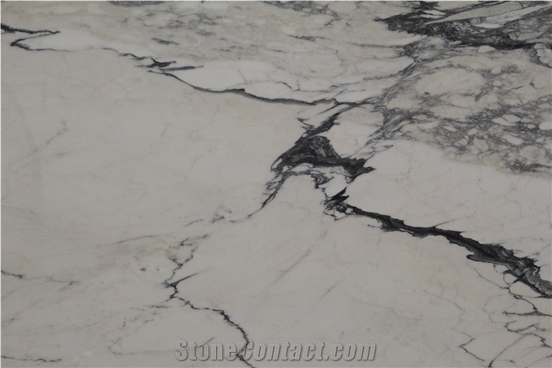 Calacatta Paonazzo Marble Marmi Vena Fine White Stone Slab