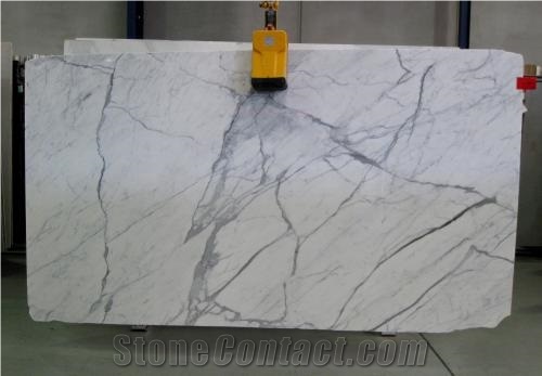 Statuario Altissimo Marble Slabs, Italy White Marble
