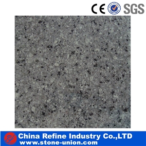 Desert Green Granite for Wall Cladding,Flooring Tile,Home Decoration,Project Tile, China Green,Green Granite Big Gang Saw Polished Flooring Tiles