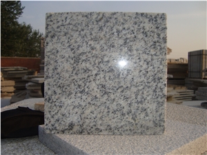 G365 Shandong White Top Grade Material Slabs Tiles Low Prices,Sesame Granite Tile, China White Granite,White Granite Top Grade Bushhammered Slabs