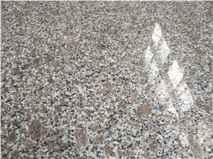 G383 Granite, Zhaoyuan Pearl Flower Granite, Polished Granite Slab, Granite Floor Tile, Step, China Natural Stone,Cheapest Grey Granite Slabs