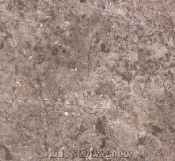 Silver Hoar, Marble Tiles & Slabs, Marble Skirting, Marble Floor Covering Tiles, Marble Pattern, China Brown Marble