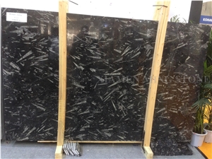 Black Fossil Marble Slabs,Nero Fossile Marble Tile Machine Panel for Floor Covering,Hotel Project Material