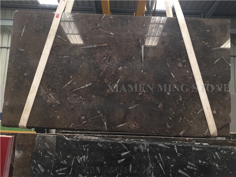 Black Fossil Marble Slabs,Nero Fossile Marble Tile Machine Panel for Floor Covering,Hotel Project Material