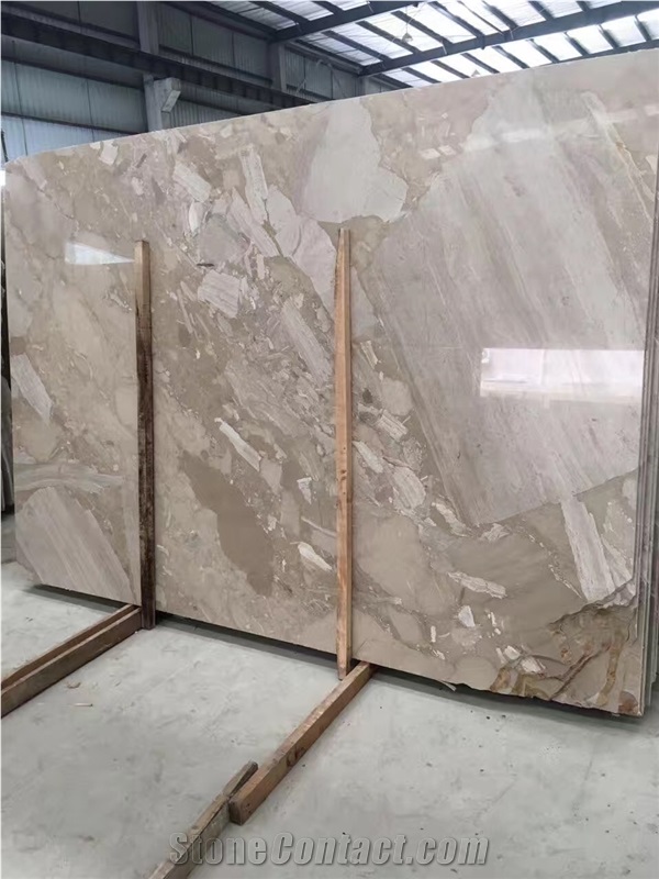 Fossil Gray Marble Slabs and Tiles, Skirting, Flooring Panels Polishd Cut to Size