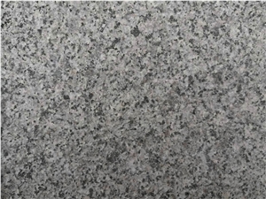 Sesame Grey Granite Slabs & Tiles, Grey Vivacqua Granite