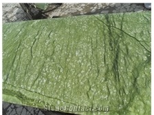 Dan Dong Green Marble Light Green Marble Slabs with Cheaper Price