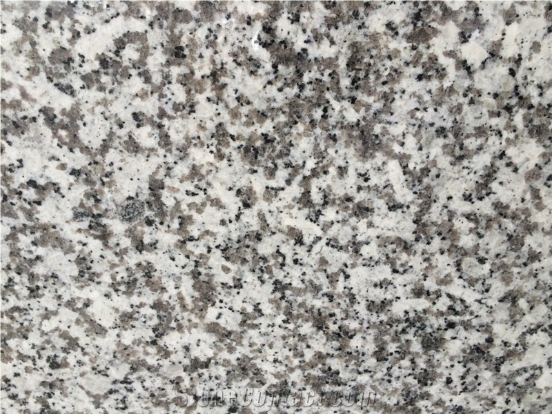 G439 Polished Granite Slabs Gangsaw Size from China with Competitive Price