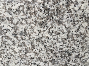 G439 Polished Granite Slabs Gangsaw Size from China with Competitive Price