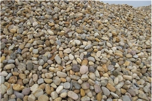 Landscape Small Mini Size Pebble Stones for Parking Driveway