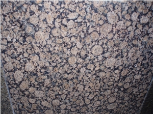 Antique Marron/Baltic Brown Granite Wall/Floor Tiles&Slabs