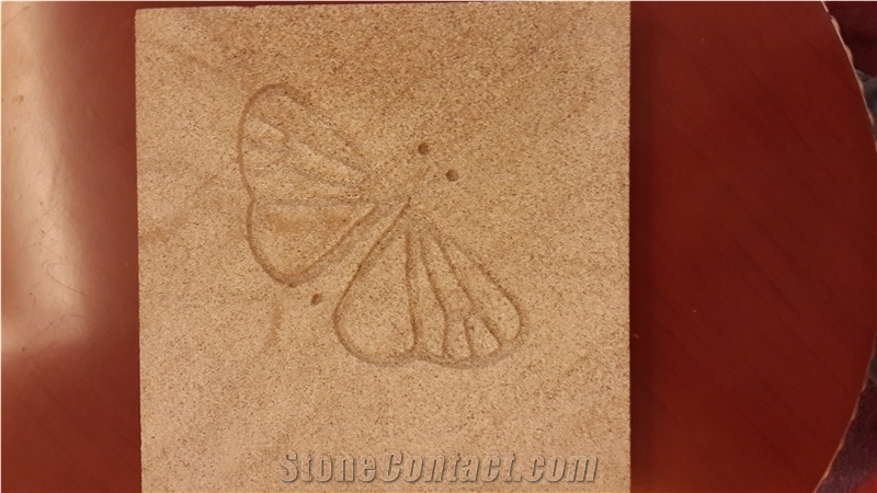 Red Sandstone Carving Wall/Floor Panel