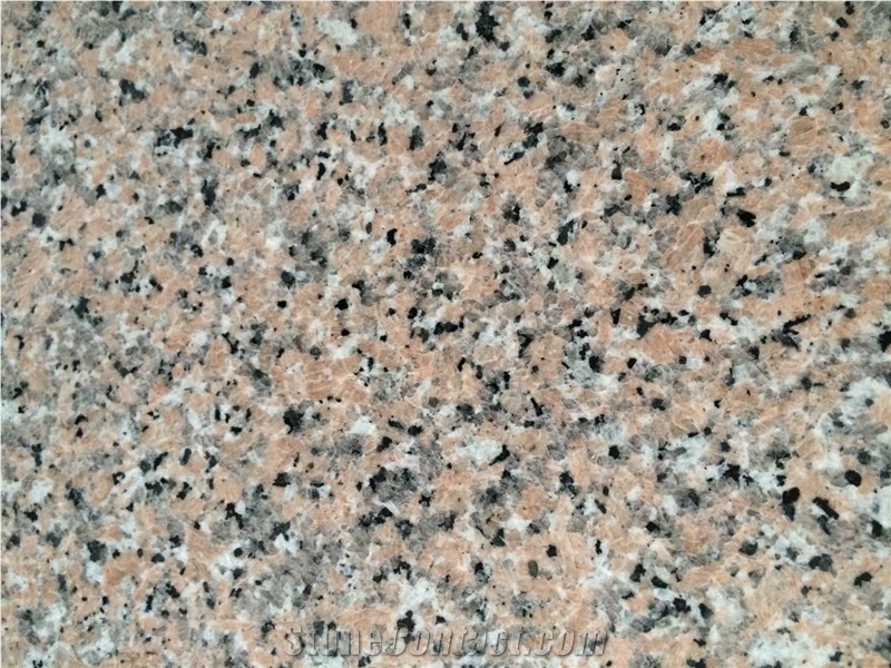 Fargo Guangxi Pink Porino/G460 Granite Polished Tiles and Slabs