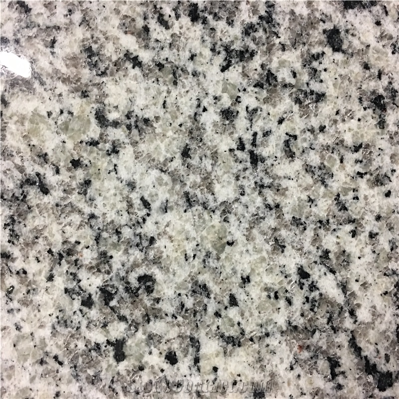 Luna Pearl Granite Slabs & Tiles, Brazil White Granite