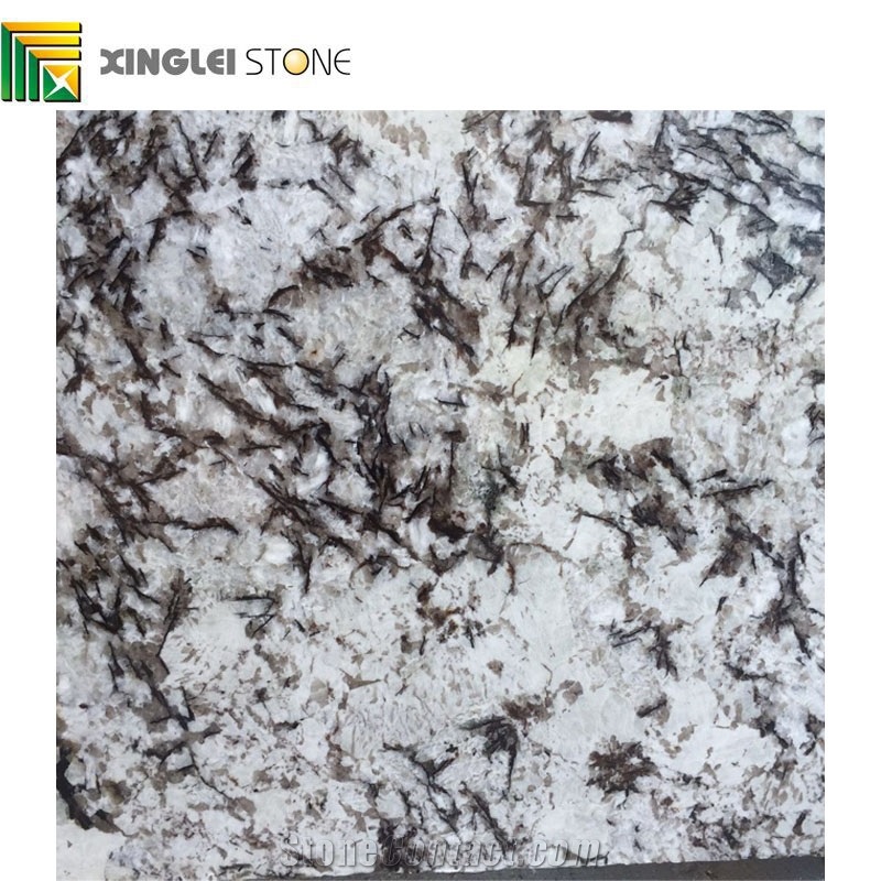 Brazil Snow Fall Granite/Brazil Snowflake/Snow White Slabs&Tiles/Walls