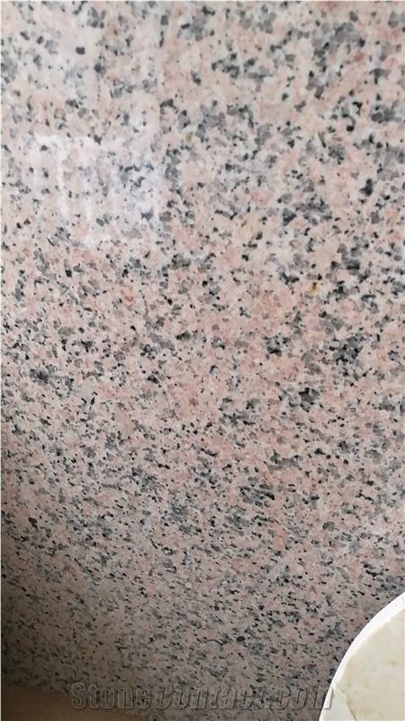 Shrimp Red Granite Floor Tiles/Rosa Pesco Granite Wall Tiles Rose Pink