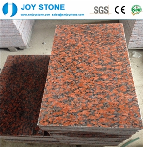 Cheap Maple Red G562 Granite Tiles,Slabs,Wall,Flooring for Sale