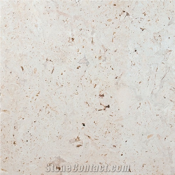 Classic Coral Stone Tiles & Slabs