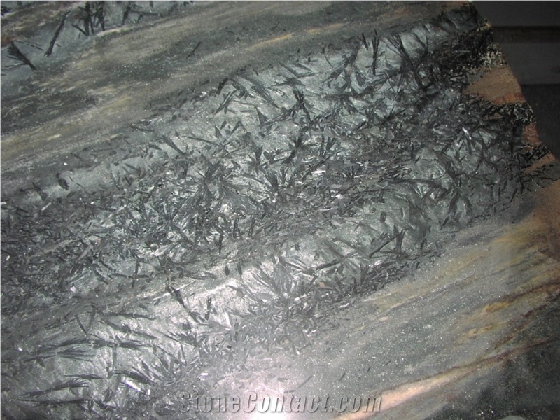 Polished Old Kimono Crowsfoot Schist Variation