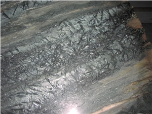 Polished Old Kimono Crowsfoot Schist Variation