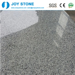 Cheap Price New G602 China Bianco Sardo Granite Slabs / Floor Tiles