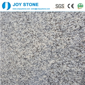 China Bianco Sardo G602 Grey Granite Cheap Price Slabs / Floor Tiles