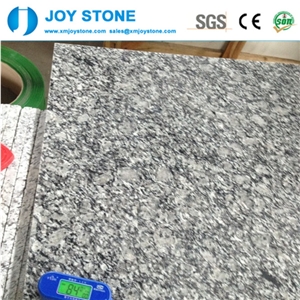 Good Quality G377 Spray White Sea Flower Granite 24"24" Floor Tiles