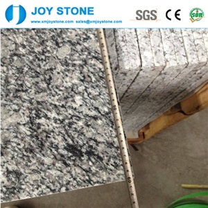 Sea Flower Spray White Granite Polished Cheap Price Floor/ Wall Tiles