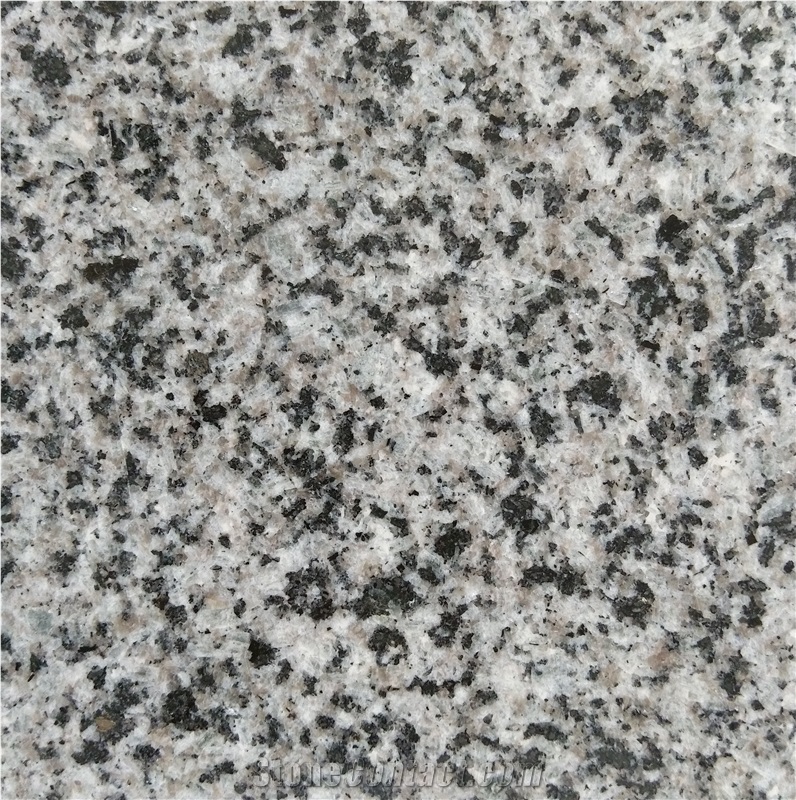 Antico Grey,China Grey Granite,Countertops,Fire Places,Slabs & Tiles