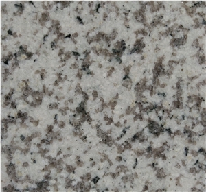 China White Granite G655 Slab,Tile