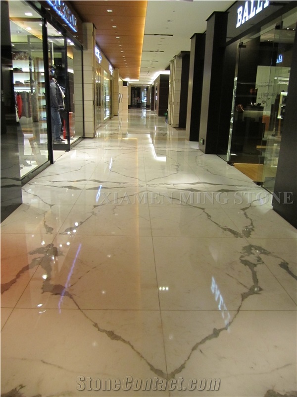 Italy Arabescato Corchia White Marble Bookmatched Tiles Floor Panel