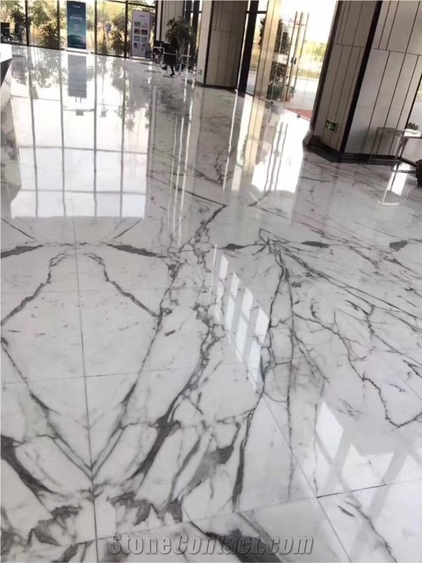 Italian Marble Tiles Bianco Statuario Marble Slabs For Floor From