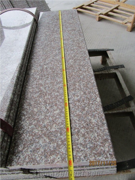 Big Quantity Cheap G664 Granite Stair Step Riser Tread Bullnos Edges