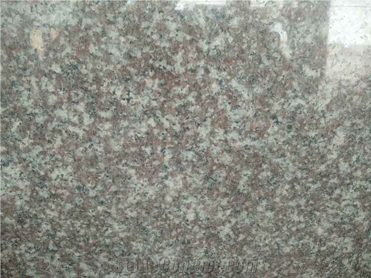 China Old G664 Granite Big Slabs in 5cm