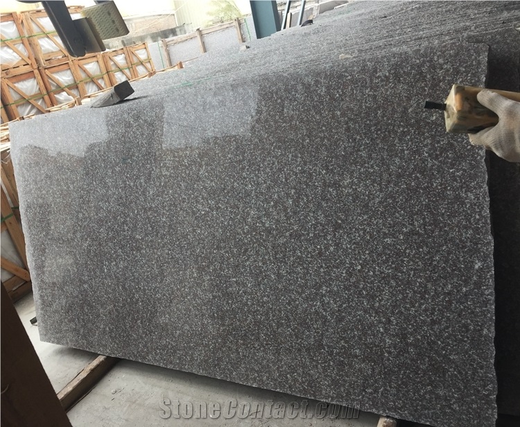 G664 Royal Bronze Granite 5cm Thickness Big Slabs for Tombstone