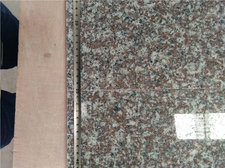 Large Quantity Promotion Cheap Price G664 Granite Floor Tiles