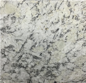 Bianco Brescia Granite Slabs Tiles