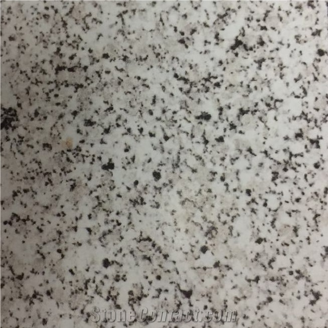 Branco Perola Granite Slab Tiles Portugal