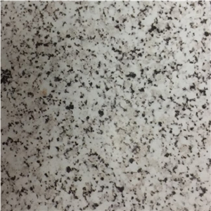 Branco Perola Granite Slab Tiles Portugal