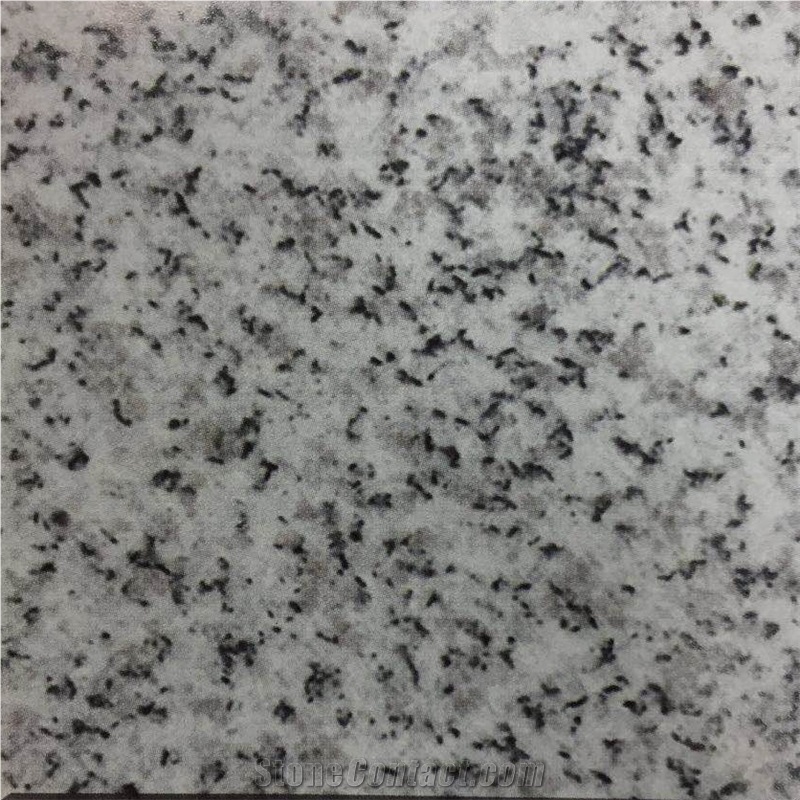 Caesar White Granite Slabs Tiles