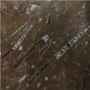Fossile Marrone Marble Slabs Tiles, Fossil Brown Marble