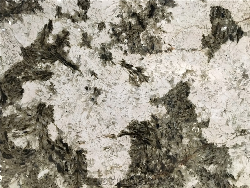 Alpinus / Brazil High Quality White Granite Tiles & Slabs