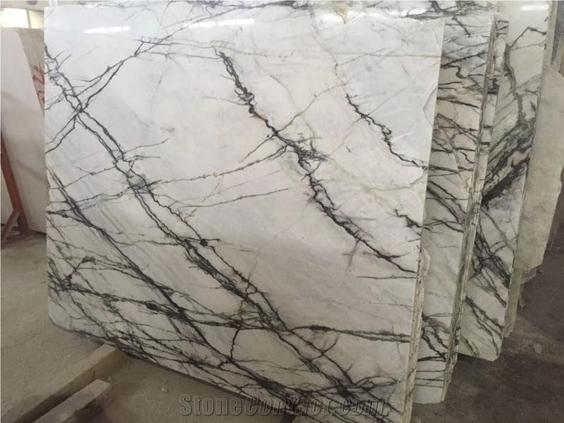Clivia Green / China High Quality Marble Tiles & Slabs