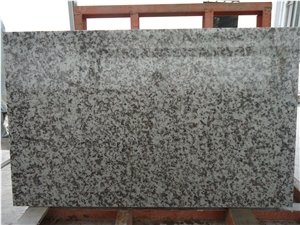 G439 Big Flower White / China High Quality Granite Tiles & Slabs