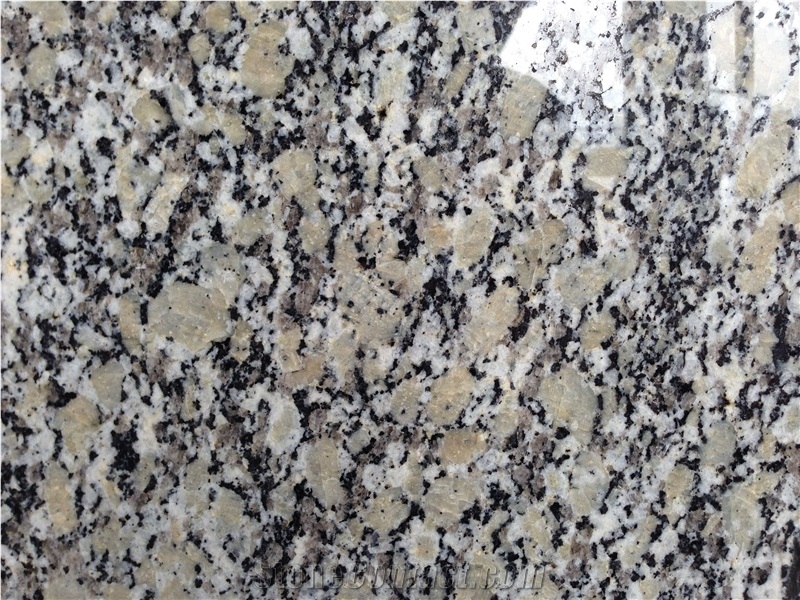 Gold Autumn / China Granite Tiles & Slabs,Floor & Wall