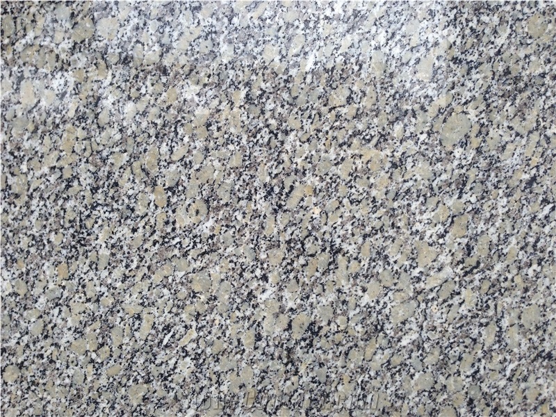 Gold Autumn / China Granite Tiles & Slabs,Floor & Wall
