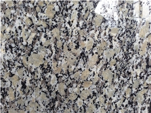 Gold Autumn Granite Slabs&Tiles Granite Flooring&Walling